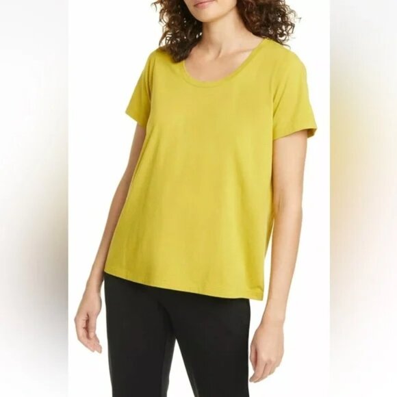 NWT Eileen Fisher Organic Cotton Round Neck Short Sleeves Fern Staple Tee 3X - Picture 1 of 5